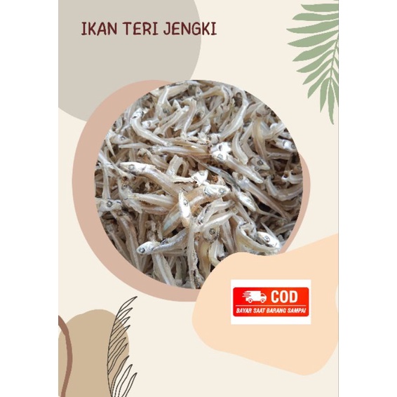 

Ikan teri jengki