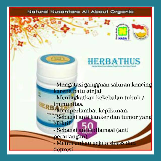 

Herbathus Atasi kesemutan dan Asam Urat