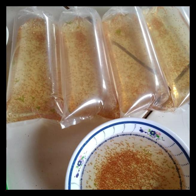 

DISKON! Daphnia Magna (paket ekonomis)