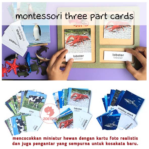 Zoetoys Montessori Three Part Cards Wild Ocean Animal Bug Dinosaur | LANGUAGE Nomenclature | Terminology Cards Kartu Terminologi | Flashcards |Mainan Edukasi Anak