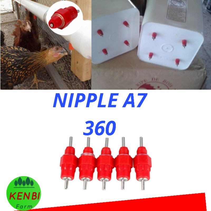 Nipel Niplle A7 Niple Nepel Ayam Petelur A7 Nipel Drinker Alat Minum Otomatis Ayam Puyuh Nipel 360