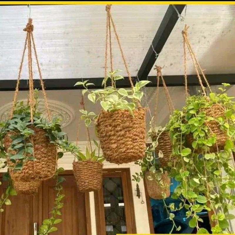 pot sabut kelapa gantung polos pot anggrek sabut kelapa gantung