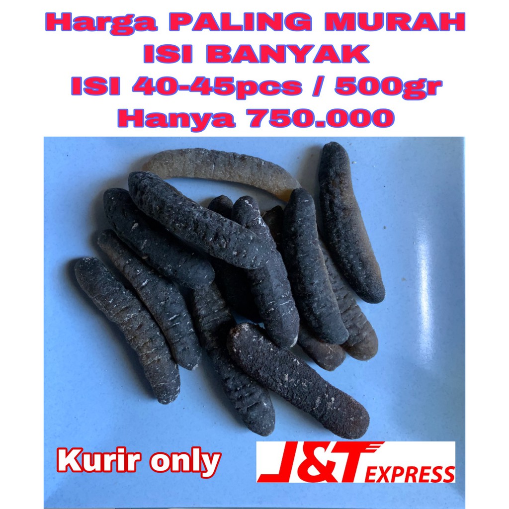 

Teripang gosok kering ISI 40-45/500gr HARGA PROMO isi banyak haisom gosok haisim sea cucumber
