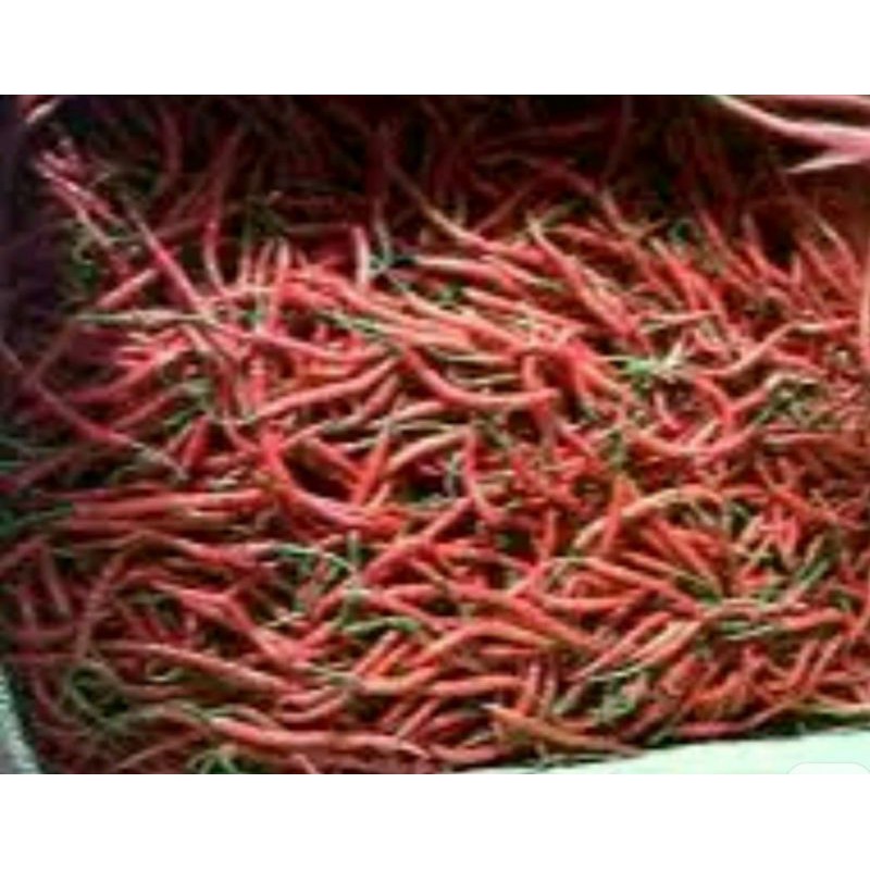 

cabe merah keriting 250gr