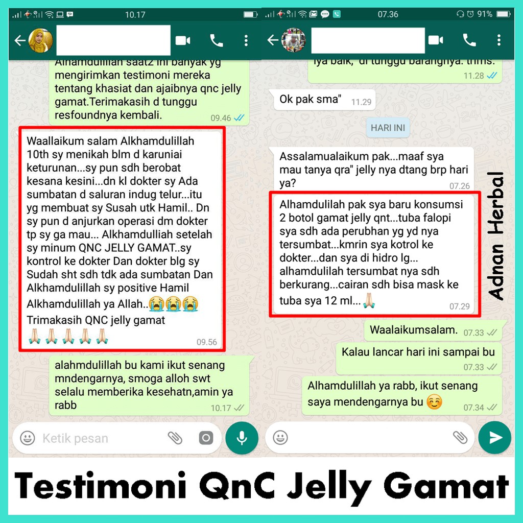 Obat Herbal Penyumbatan Tuba Falopi Sumbatan Pada Indung Telur 100 Alami Qnc Gamat Indonesia