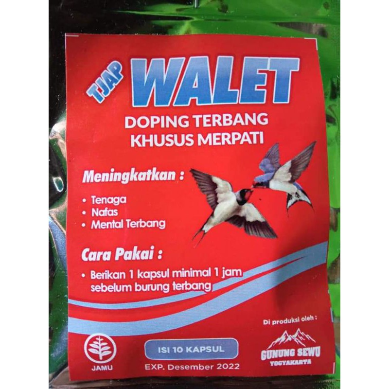 

jamu merpati walet