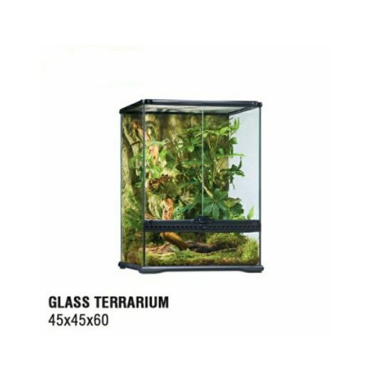 Glass Terrarium 45x45x60 CM Reptil Reptile Frog Snake Paludarium