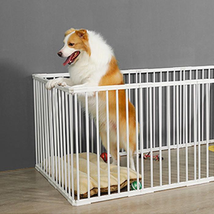 Pagar Anjing Dog Fence Pintu