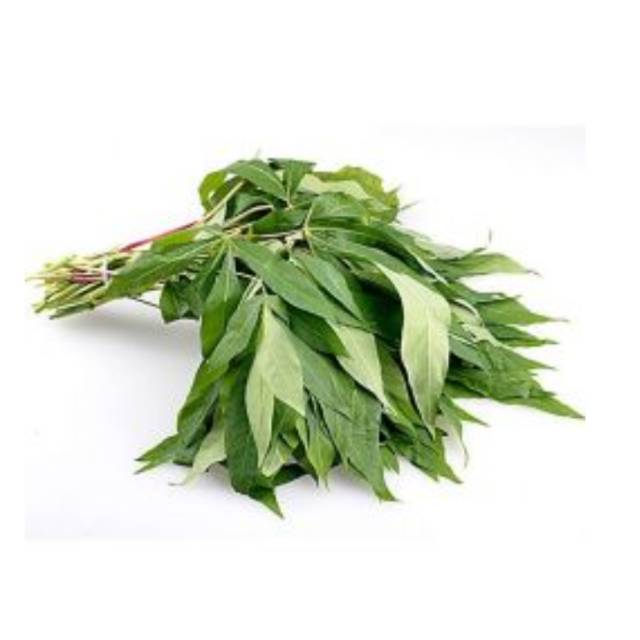 Daun singkong murah daun singkong pasar ikat kecil