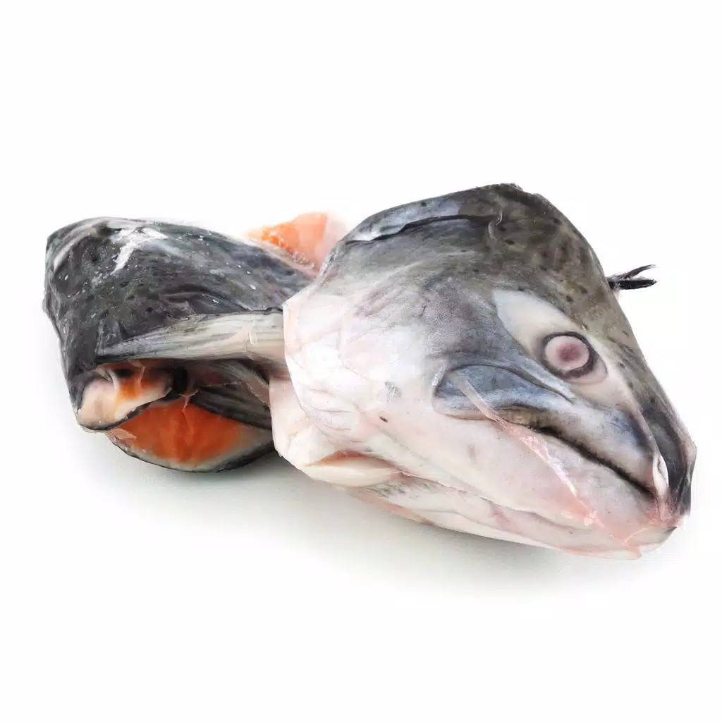 

SALMON HEAD