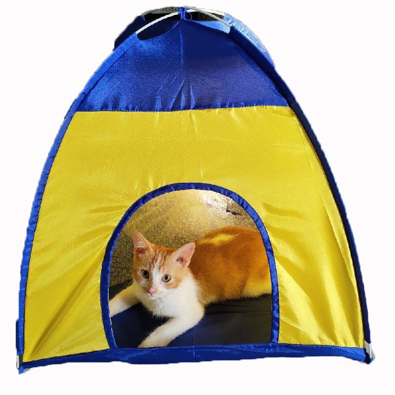 Tenda Kucing Mini 50x50x50cm Biru Kuning