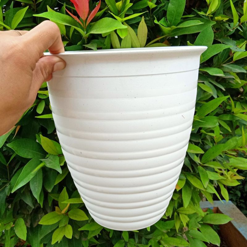 COD.POT TAWON TIRUS 18.POT TAIWAN 18.POT TIRUS PUTIH