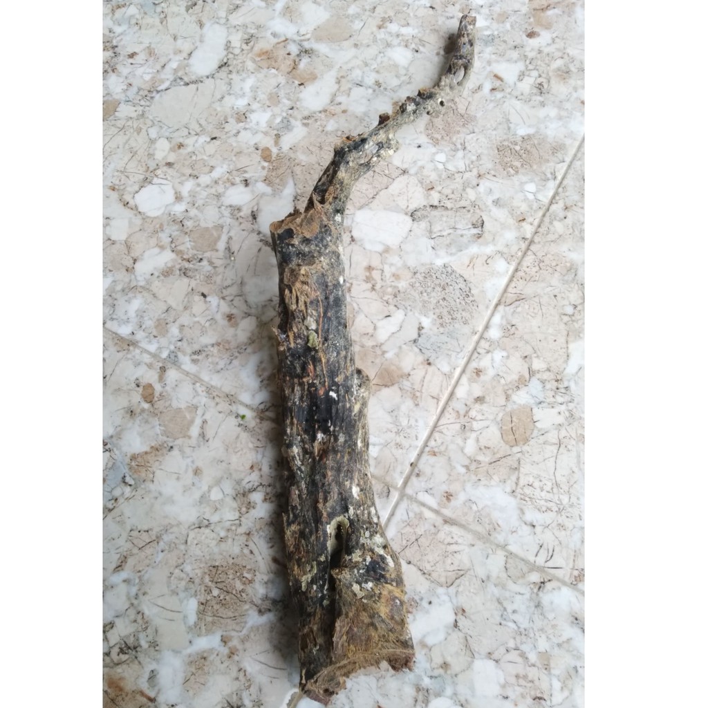 BAHAN AKAR BAHAR SUPER JUMBO ELEGANT