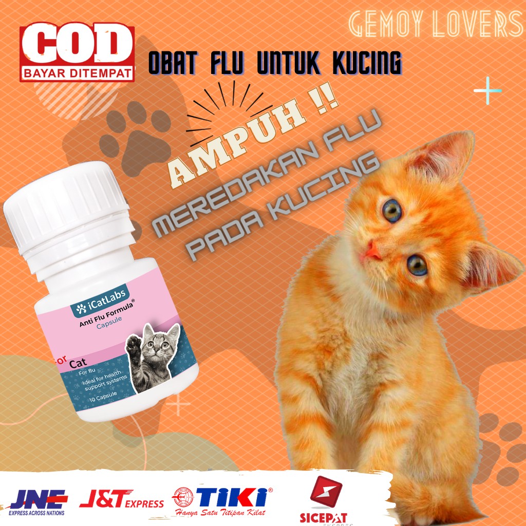 Obat Flu Kucing - Makanan Kucing Obat Kucing Cat Food obat Kucing vitamin kucing