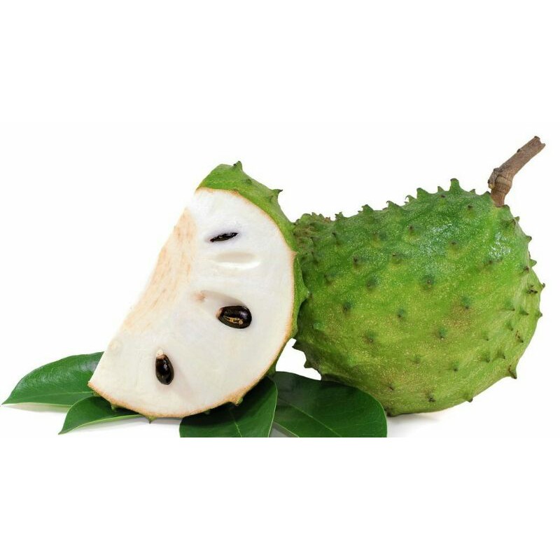 

sirsak
