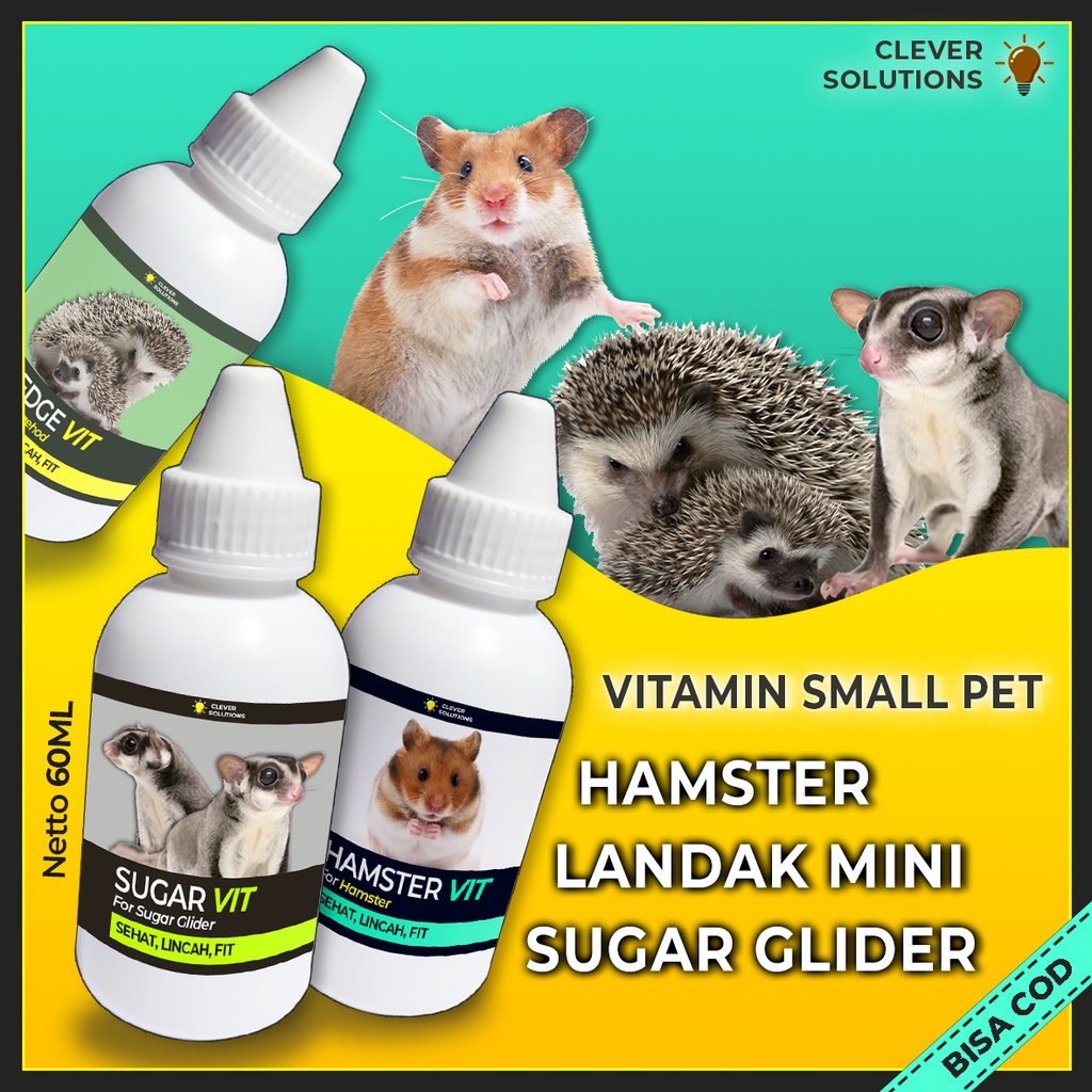 Vitamin Hamster Sugar Glider Landak Mini Meningkatkan Nafus Makan Imunitas Menjaga Kesehatan Merawat Kulit by Clever Solutions Obat Hamster Pakan Makanan Hamster Sugar Glider Hamvit Vitma