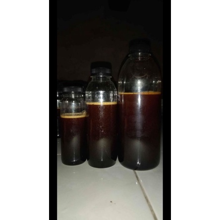 

madu hutan asli sialang siak, riau