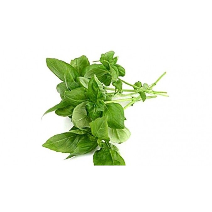 

Daun Kemangi 1 pax 100gr By Sembakoe