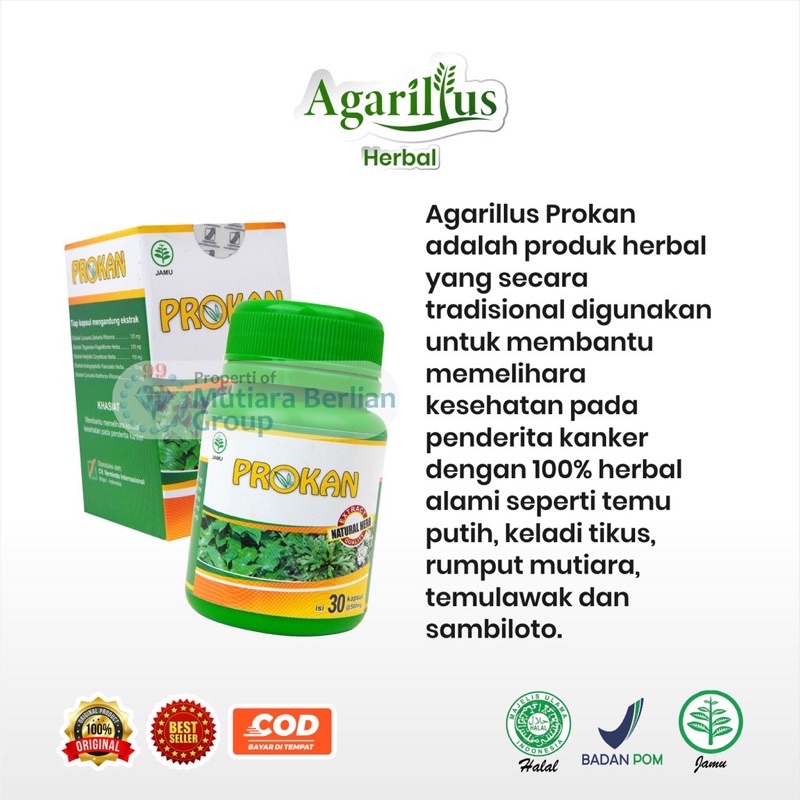 agarillus prokan