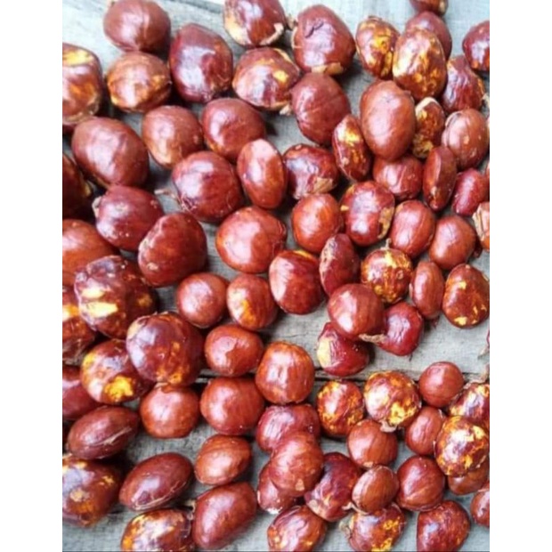 

jengkol super 500 gram tua dan segar
