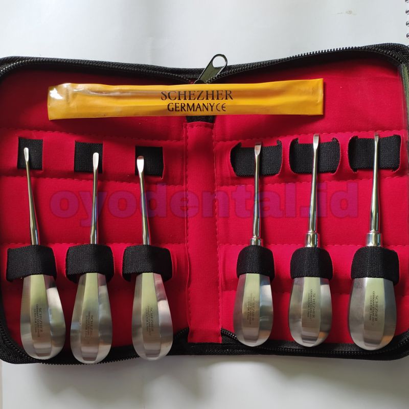 Dental root elevator luxator / instrument Bein elevator schezher set