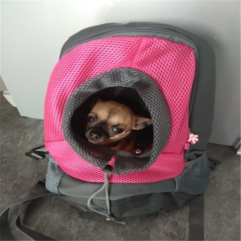 double dog carrier backpack