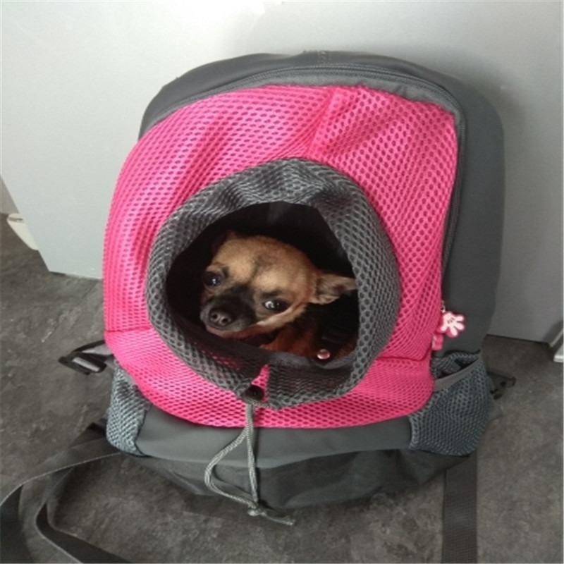 double dog backpack