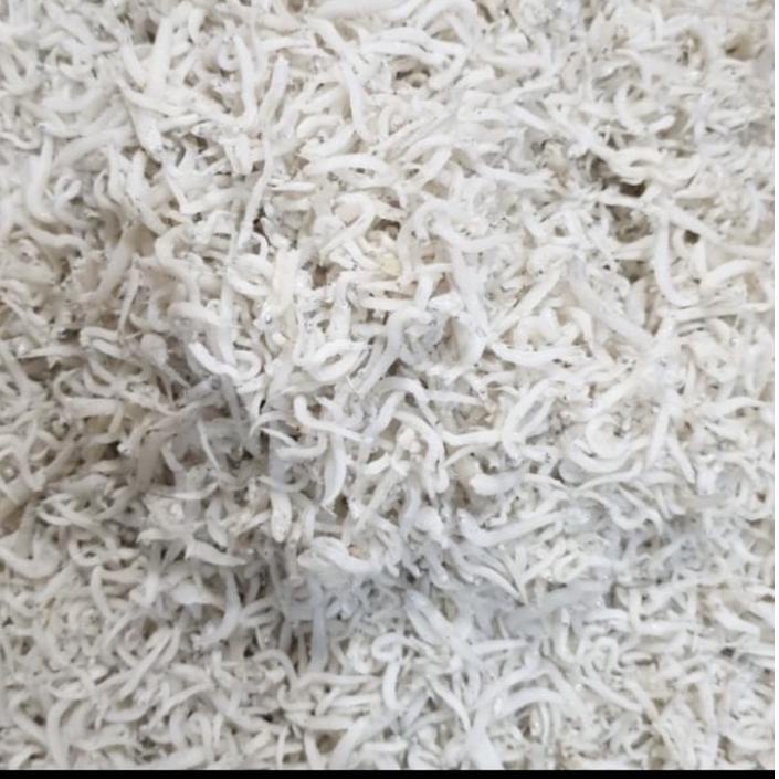 

BISA COD ✔️TERI MEDAN GRADE A[BAYAR DITEMPAT]|RA1