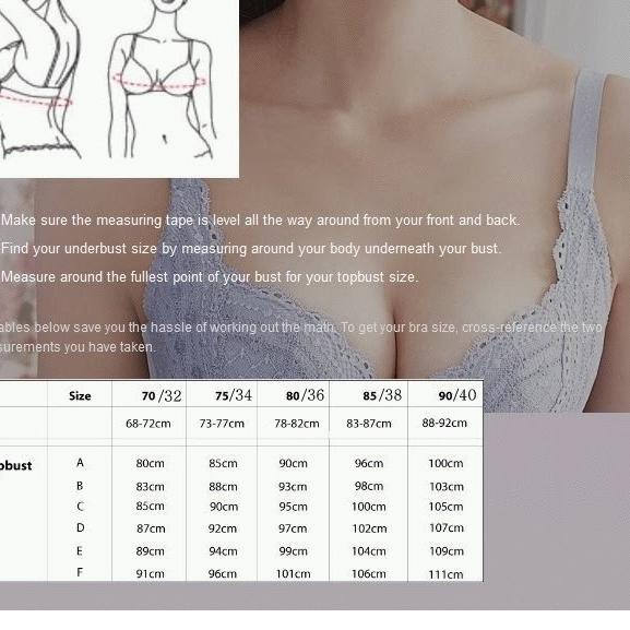 Bra Set Wanita Kawat Busa Tebal Sedang /  Pakaian Dalam Underwear Motif Polos  LILY WOLFF Lingerie L