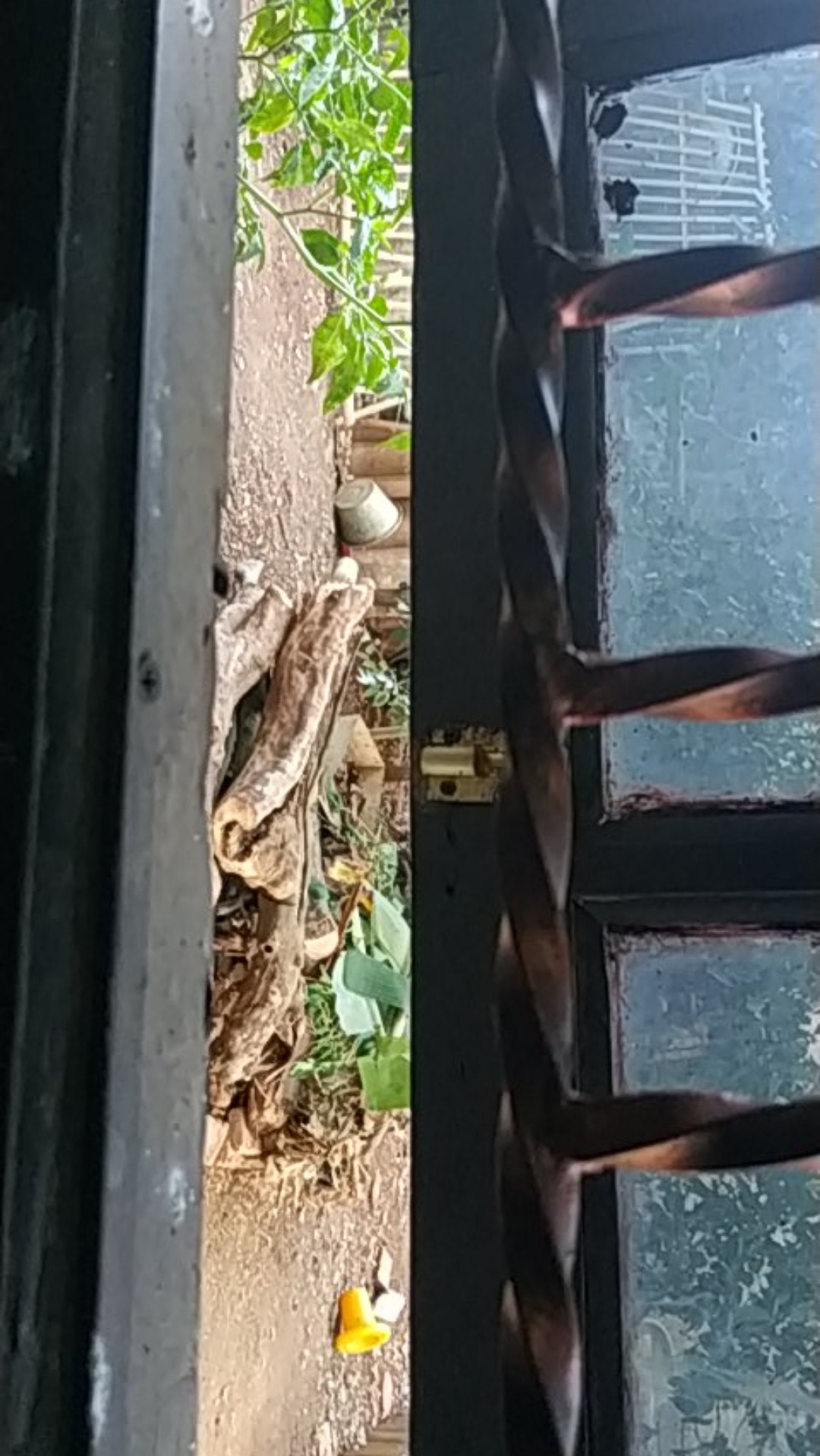 Keran Air Taman Plastik | Pvc 1/2” Lotus