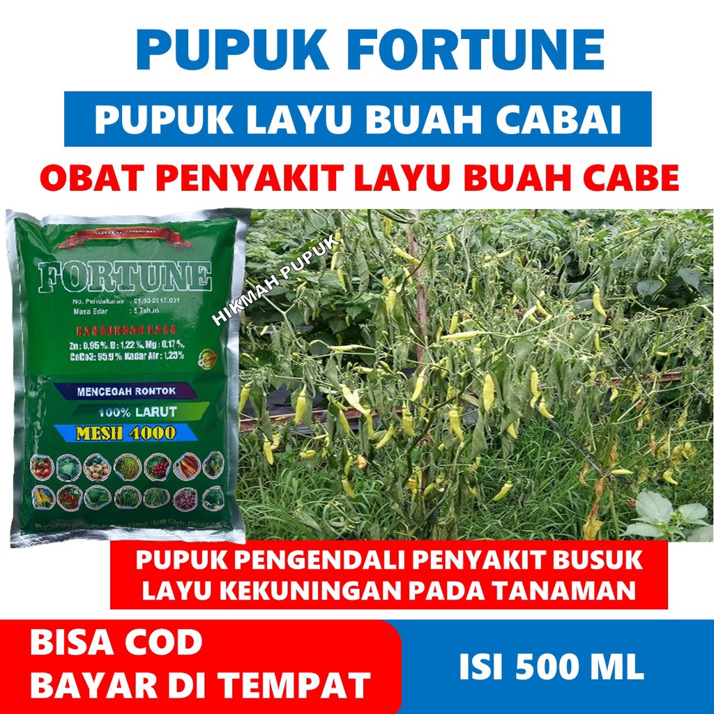 OBAT KALSIUM TANAMAN CABE/CABAI RAWIT FORTUNE Pupuk Semprot Penyakit Layu Pada Tanaman Cabe - Obat L