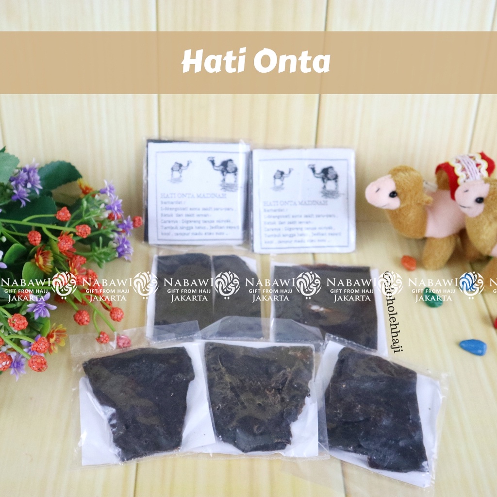 Hati Onta Unta Kering Madinah Obat Asma dan Sesak Nafas Obat Herbal