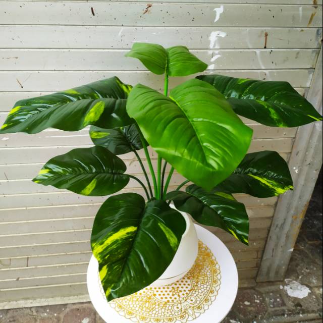 Daun hias bunga hias daun keladi bunga artificial Daun hias bunga hias daun keladi bunga artificial