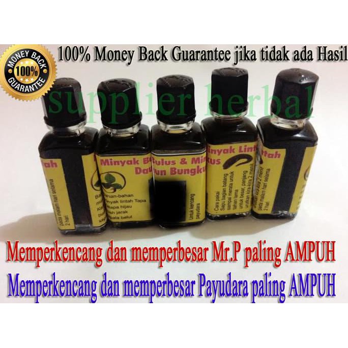 Minyak Bulus + Lintah Hitam + Daun Bungkus ASLI PAPUA 100% ORIGINAL {BIG SALE Kode 512
