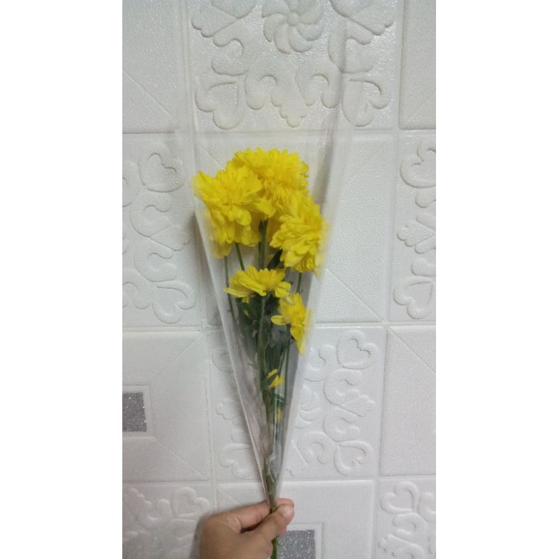 BUNGA ASTER | BUNGA ASTER SATUAN | ASTER SATUAN