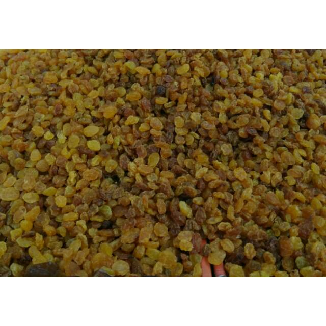 

Kismis Raisin Raisins Asam Asem Manis 1 Kg Oleh Oleh Haji Umroh Puasa Ramadhan