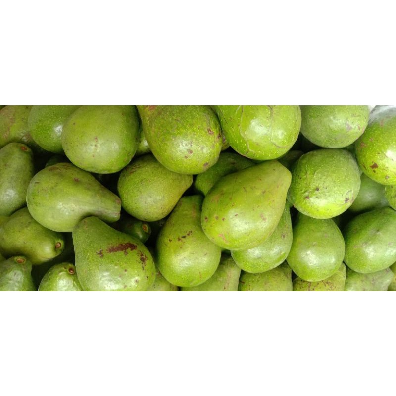 

Alpuket