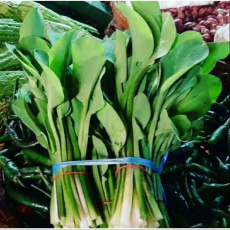 

sayur daun genjer/ikat