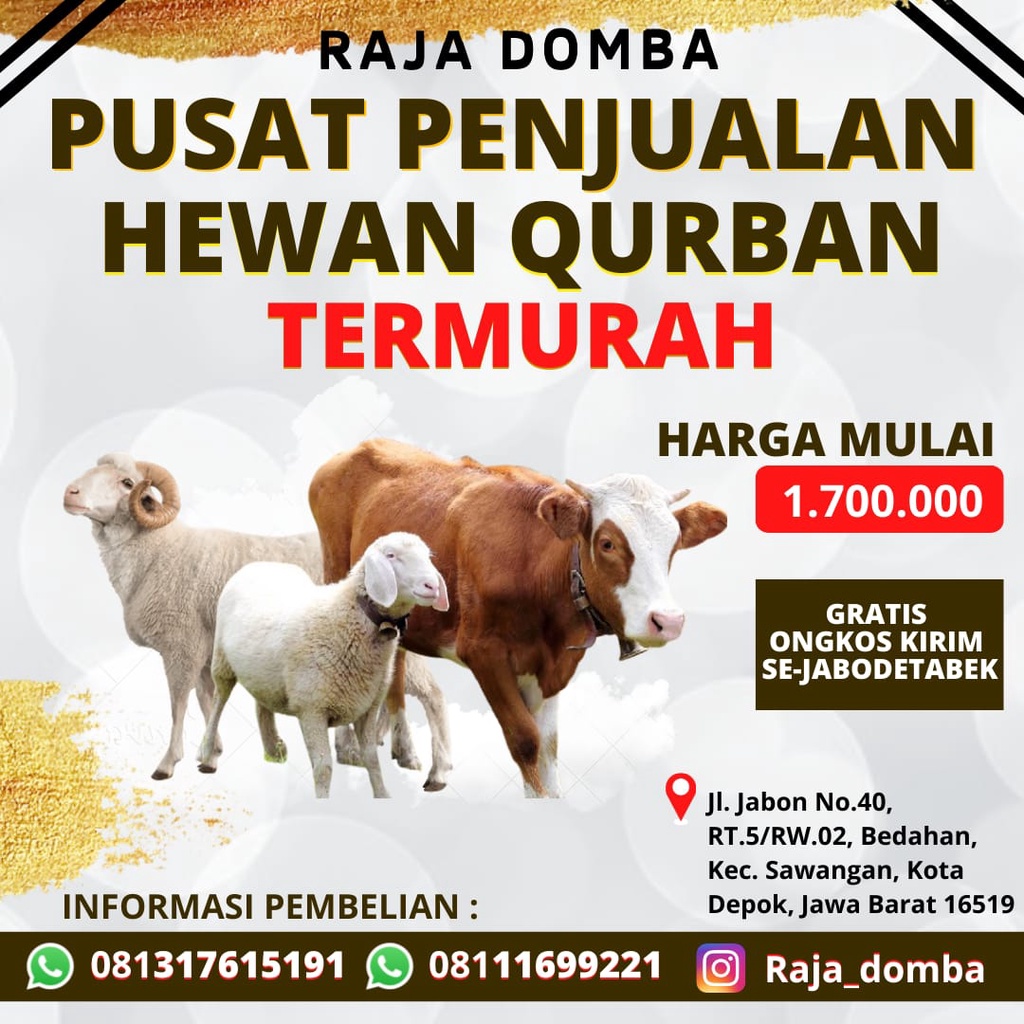 HEWAN KURBAN TERMURAH