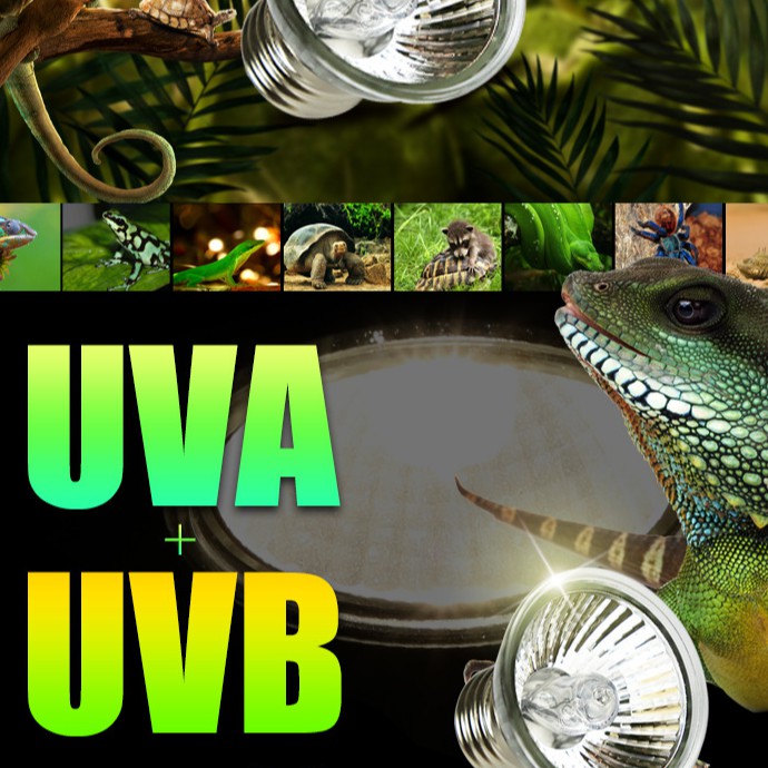 Lampu Reptil Reptile Torto Varanus Uva Uvb 3.0 Kura Kura Iguana Sulcata Pardalis Aldabra Bearded