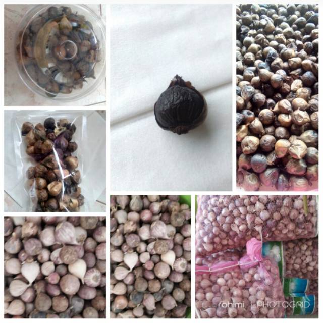 

Bawang tunggal hitam