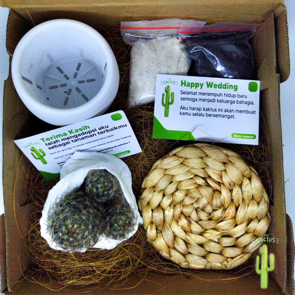 

Hampers Kado Kaktus Lucu Unik Paket Gift Set Ulang Tahun Cowok Cewek