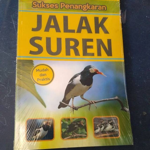 Jalak Suren