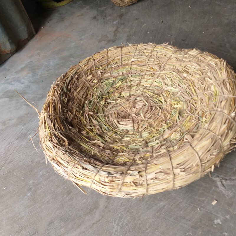 tarangan ayam besar/petarangan telur ayam/tempat bertelur ayam/sarang telur ayam/tempat ngendog pite