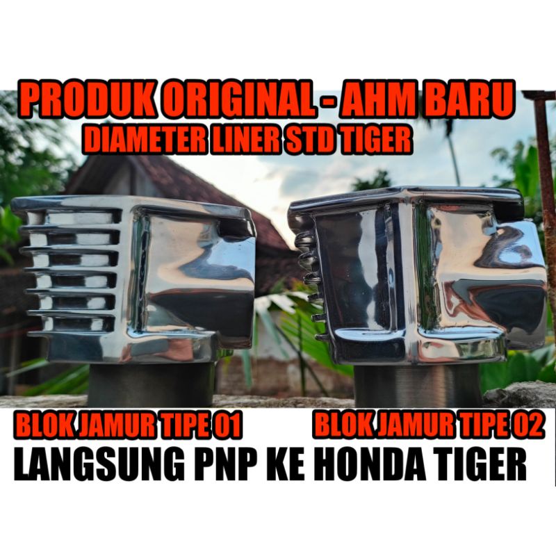BURENG BLOK TIGER ORIGINAL MODIF JAMUR BAHAN ORIGINAL ASLI AHM