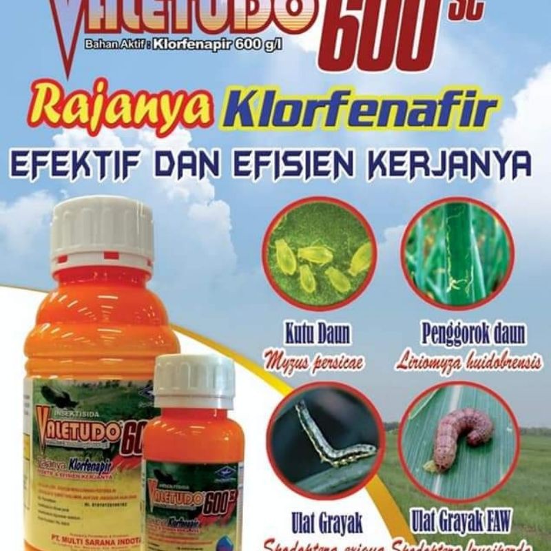 Insektisida Valetudo 600 SC Bahan aktif klorfenapir 600 sc