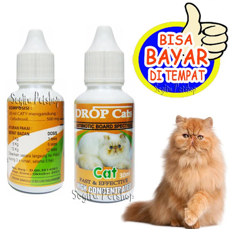 OBAT ANTIBIOTIK KUCING DROP CAT KITTEN OBAT FLU DEMAM PANAS