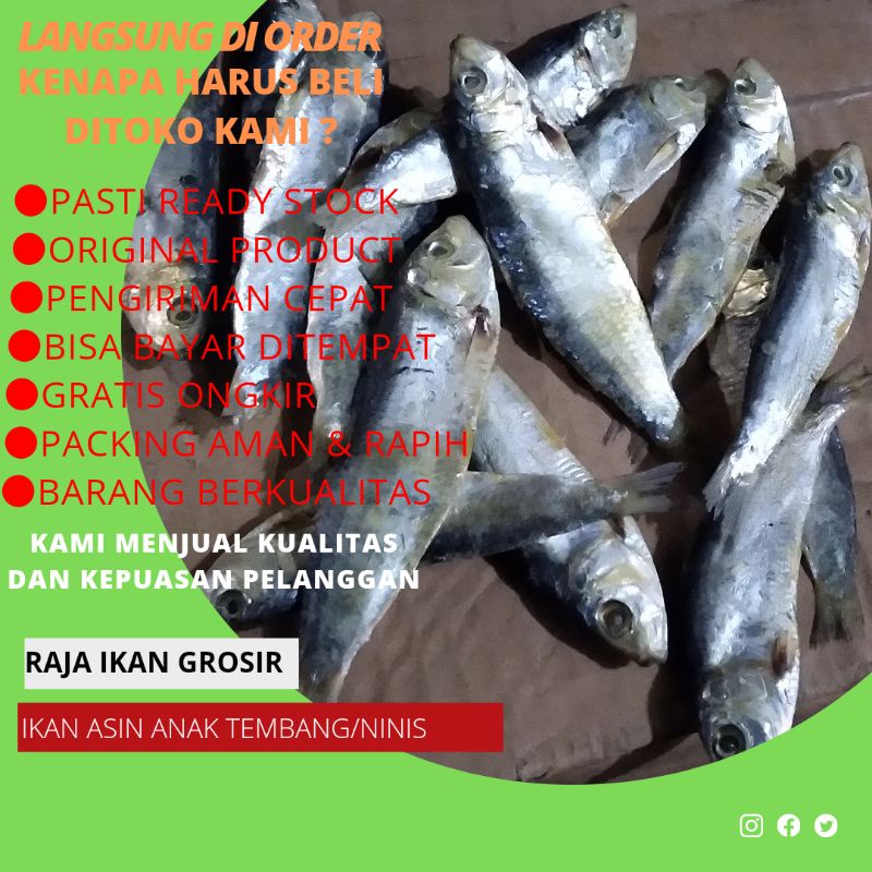 

IKAN ASIN NINIS/TEMBANG MURAH 250 GRAM