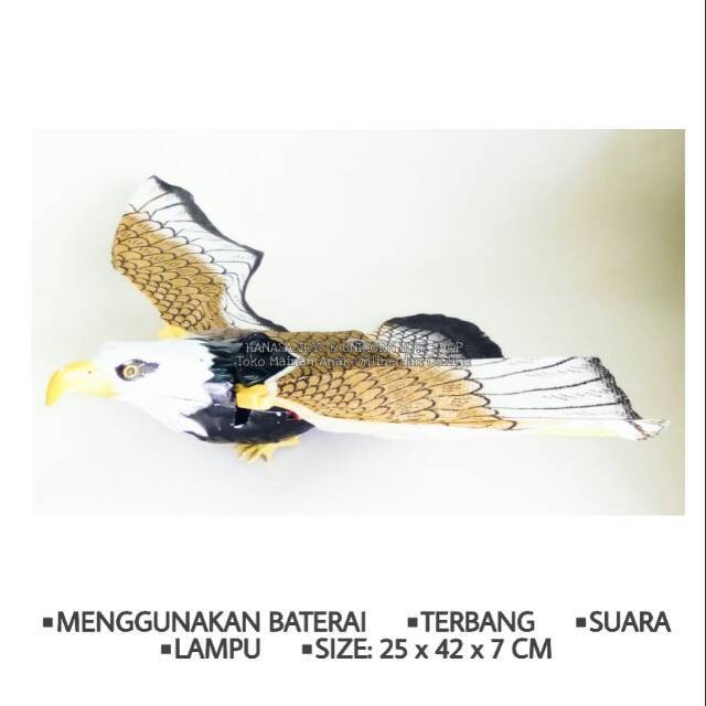 65 Koleksi Gambar Burung Elang Terbang HD Terbaru