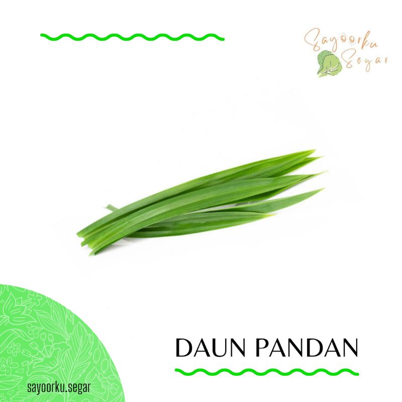 

KIRIM BESOK Daun pandan wangi 1 ikat
